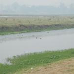 Vraj-Yatra-2014- (415)